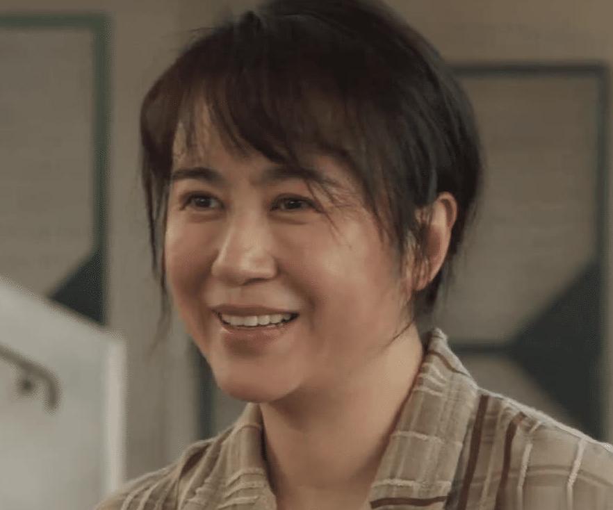 国外如何看国内的电视剧教程